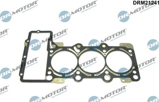 Dr. Motor DRM21241