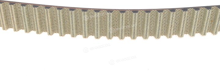 Dayco KTB282