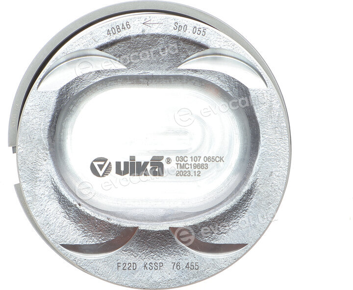 Vika 11071702901