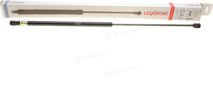 Lesjofors 8004218