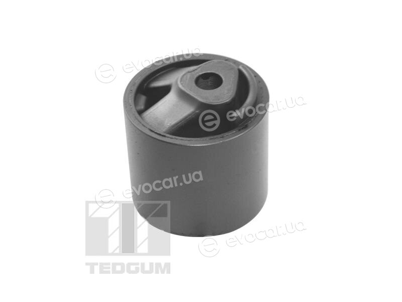 Tedgum TED12642