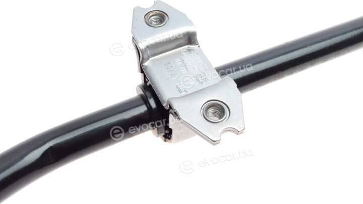 Borsehung B12618