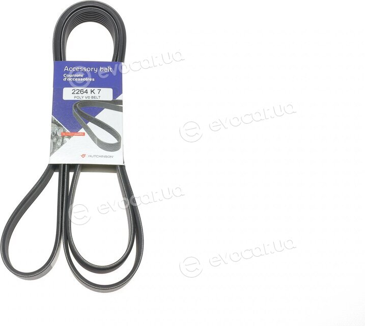Hutchinson 2264 K 7