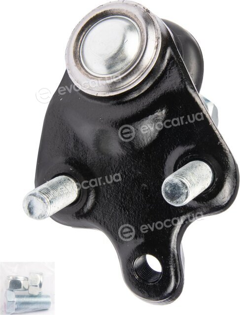 Raiso RL433309T