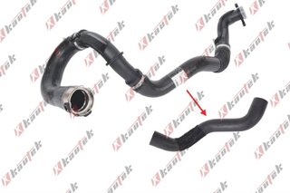 Kautek CH-TH022