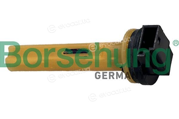 Borsehung B13488