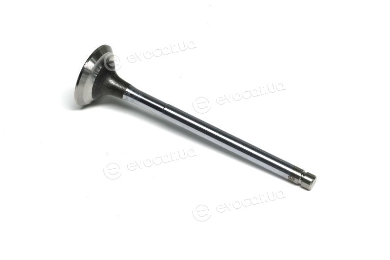 Gunes 4022