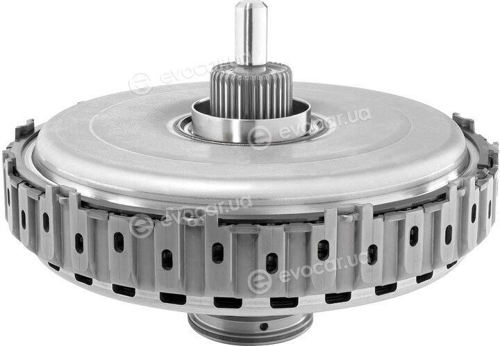 BorgWarner 202893