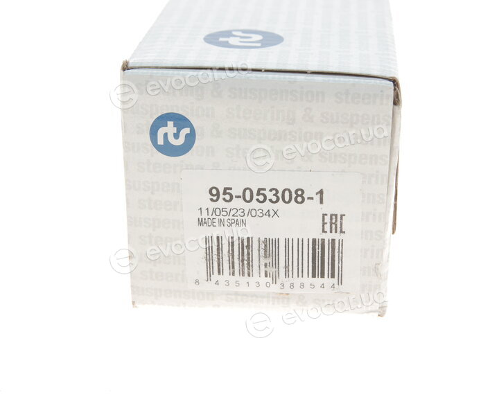 RTS 95-05308-1