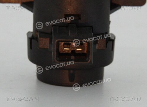 Triscan 8813 25021