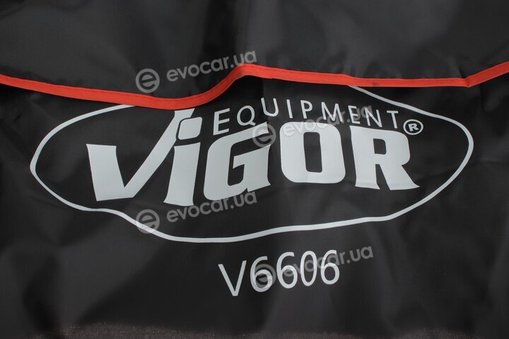 Vigor V6606