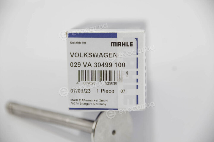 Mahle 029 VA 30499 100