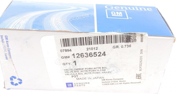 GM / General Motors 12636524