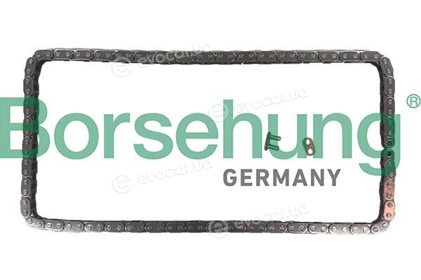 Borsehung B13528