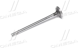 Gunes 6261