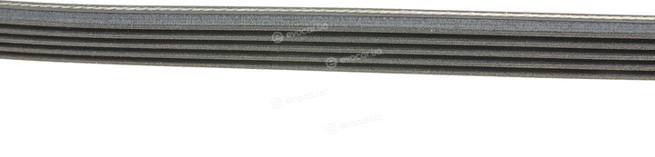 Continental 5PK1135