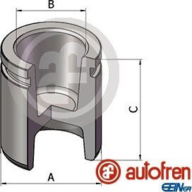 Autofren D025784
