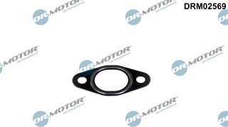 Dr. Motor DRM02569