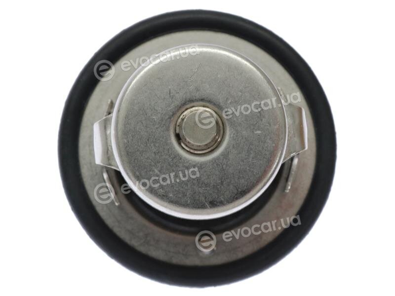 Starline TS T113.88T