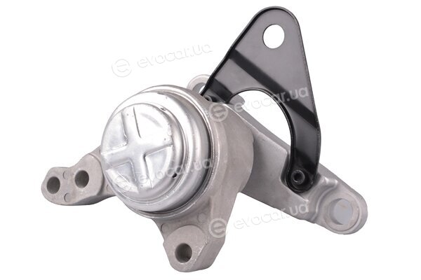 Tedgum TED75145