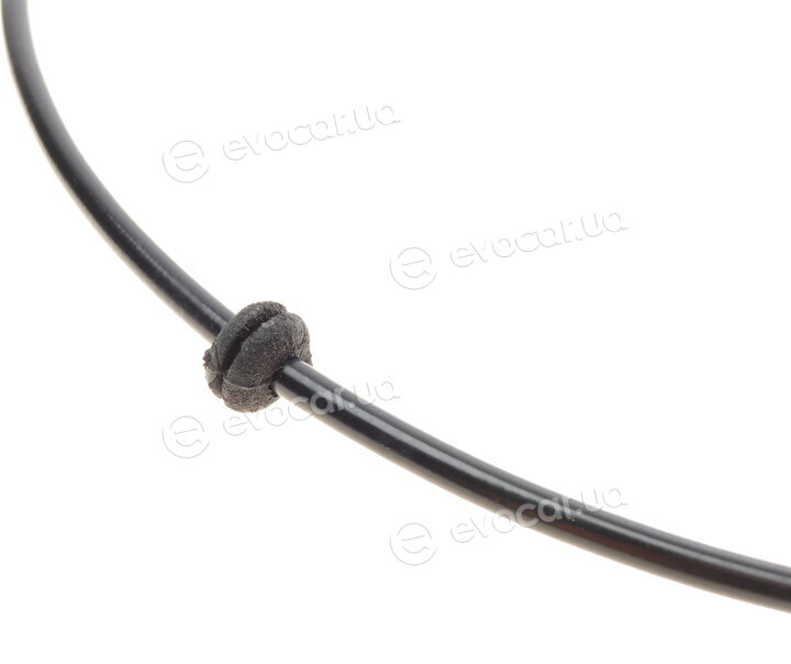 Rotweiss RW75001