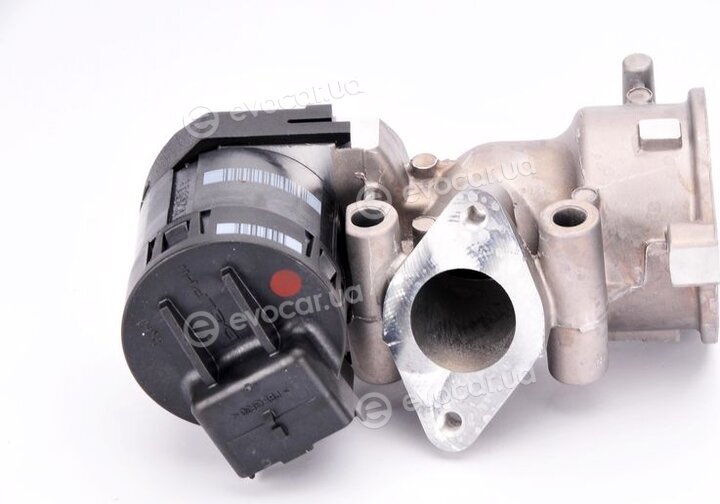 Delphi EG10396