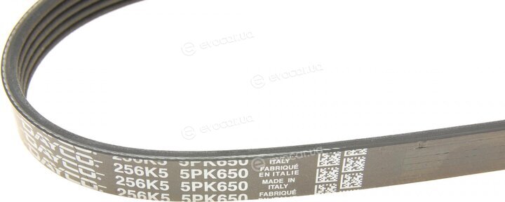 Dayco 5PK650