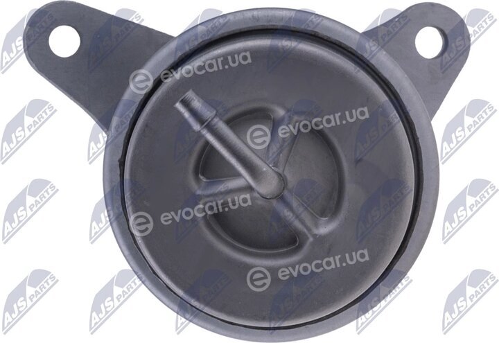 NTY ECD-HY-503