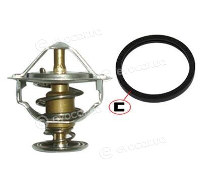 Starline TS T113.88T