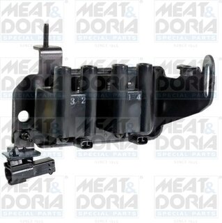 Meat & Doria 10449