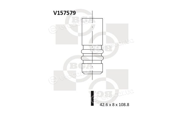 BGA V157579
