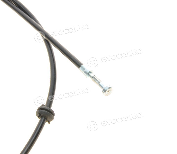Rotweiss RW88001