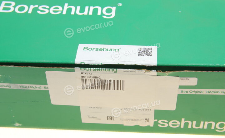Borsehung B17872