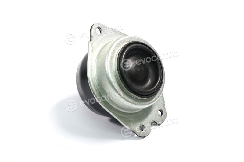 Sasic 4001833