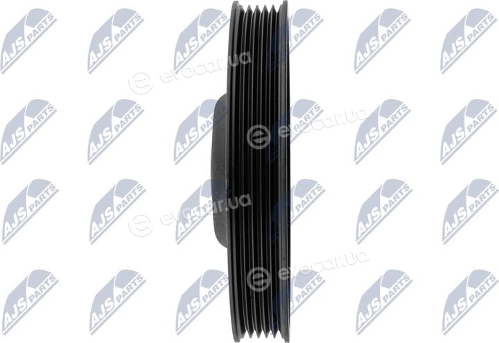 NTY RKP-NS-021