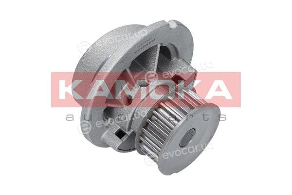 Kamoka T0231