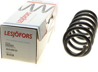 Lesjofors 4004266