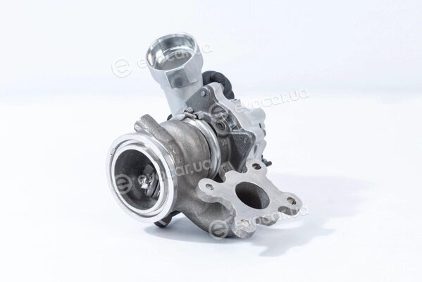 BorgWarner 16339880024