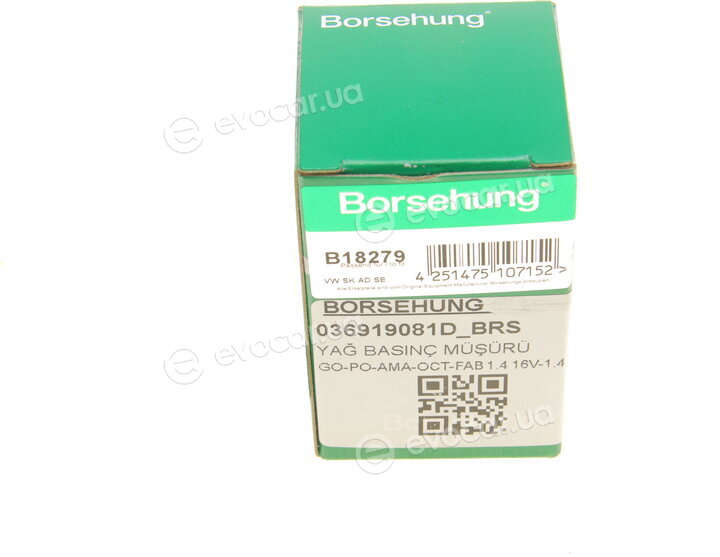 Borsehung B18279