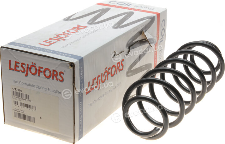 Lesjofors 4227590