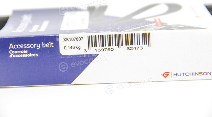 Hutchinson 1076 K 7