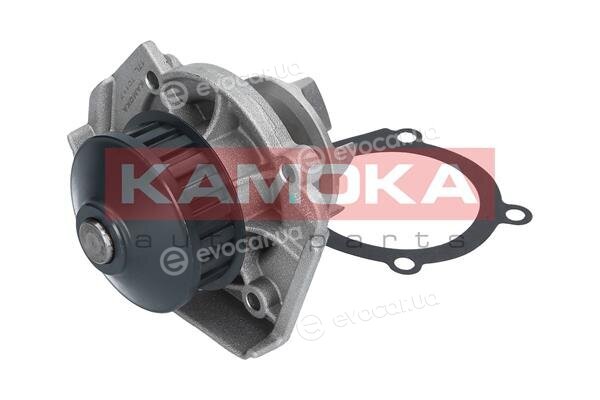 Kamoka T0117