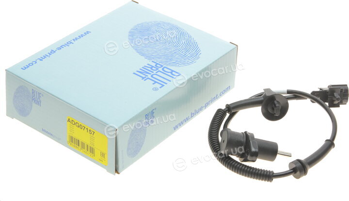 Blue Print ADG07157