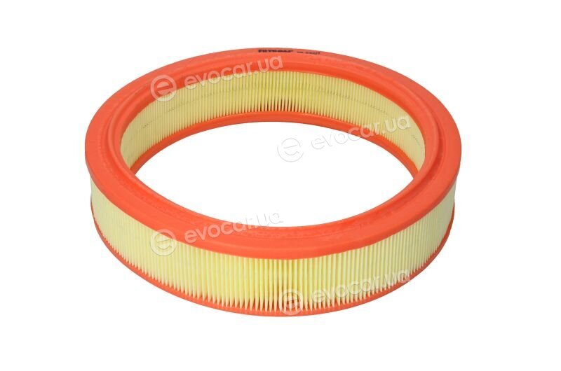 Filtron AR 232/1