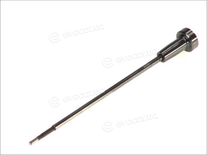 Bosch F00RJ02246