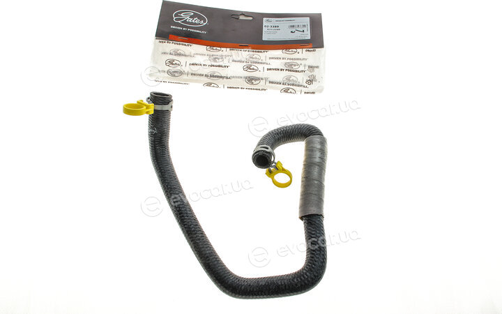 Gates 02-3389