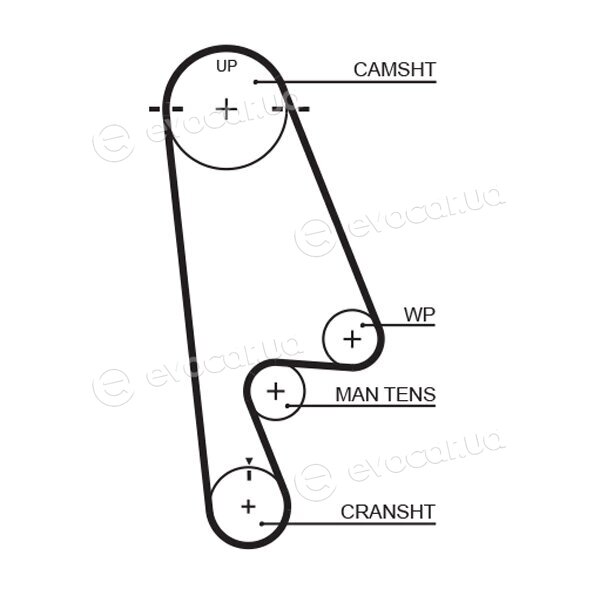 Gates K015480XS