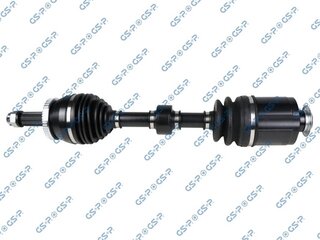 GSP 224561