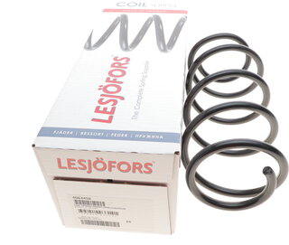 Lesjofors 4063458