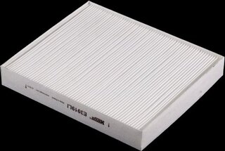Hengst E3919LI